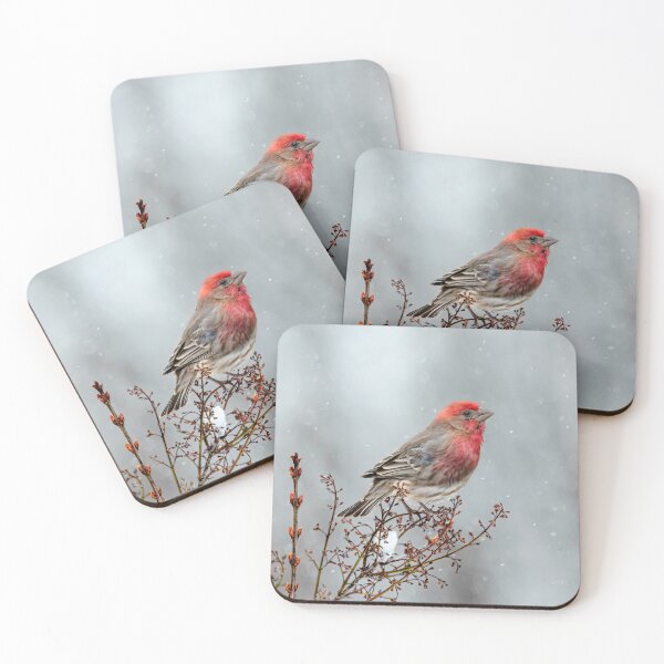 Item preview, House Finch in Snow Photograph designed and sold by alpendesigns.