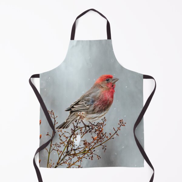 Item preview, House Finch in Snow Photograph designed and sold by alpendesigns.