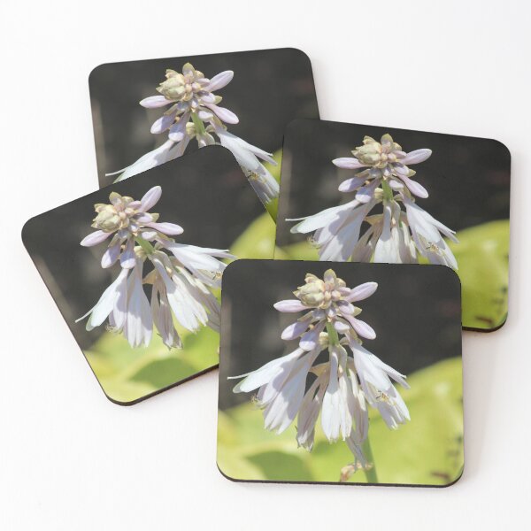 Item preview, August Lily designed and sold by Krystina Starks.