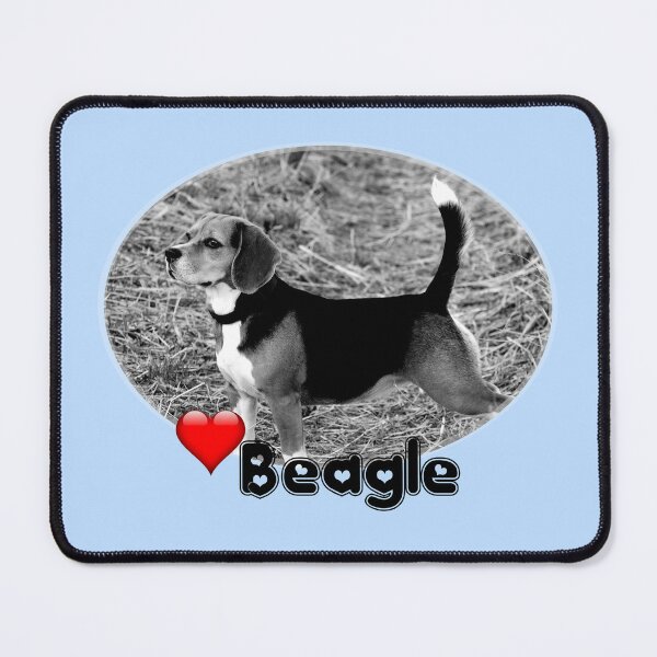 Item preview, Beagle - Love heart designed and sold by S Quinn.