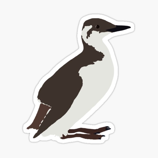 Item preview, Not-so-Common Murre designed and sold by emarinelife.