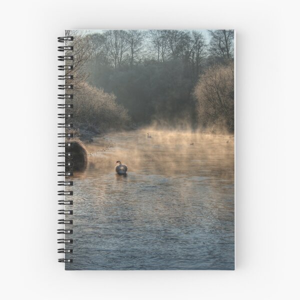Item preview, Swan in the Mist designed and sold by NeilAlderney.