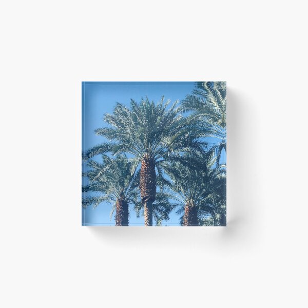 Item preview, Island Palm Trees In Tropical Blue Sky designed and sold by DEC02.