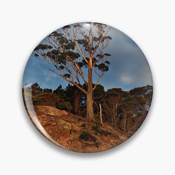 Item preview, Tree at sunset designed and sold by andreisky.