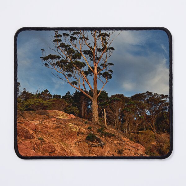 Item preview, Tree at sunset designed and sold by andreisky.
