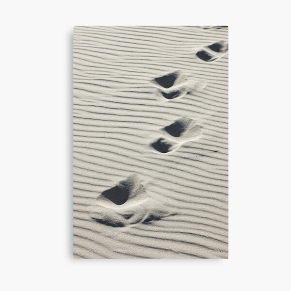 Across the Dunes Canvas Print