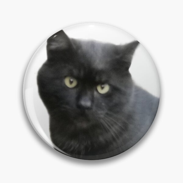 Item preview, Staring cat #2.2 designed and sold by Mmark94.