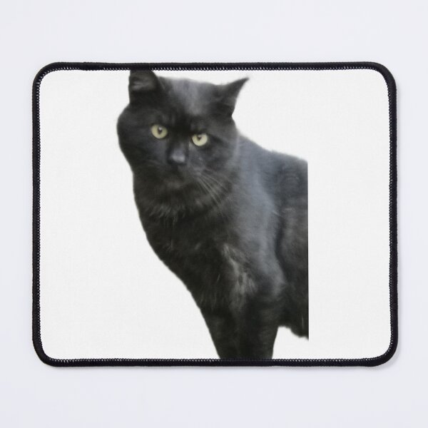 Item preview, Staring cat #2.2 designed and sold by Mmark94.