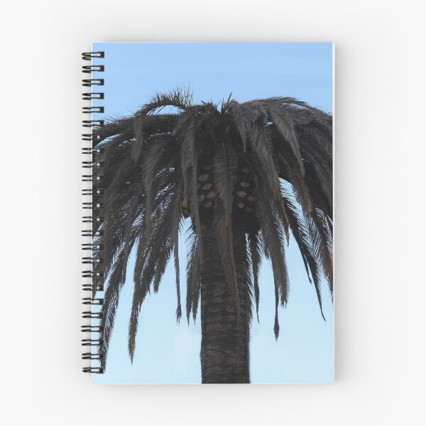 Item preview, Spreading Palm designed and sold by heatherfriedman.