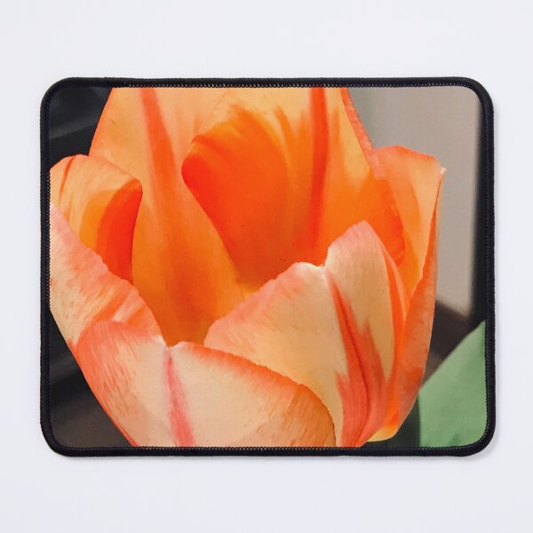 Item preview, Pastel Orange And Yellow Tulip Flower Close-Up designed and sold by DEC02.