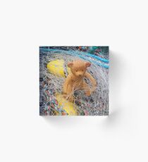 Teds in a tangle.... Dorset UK Acrylic Block