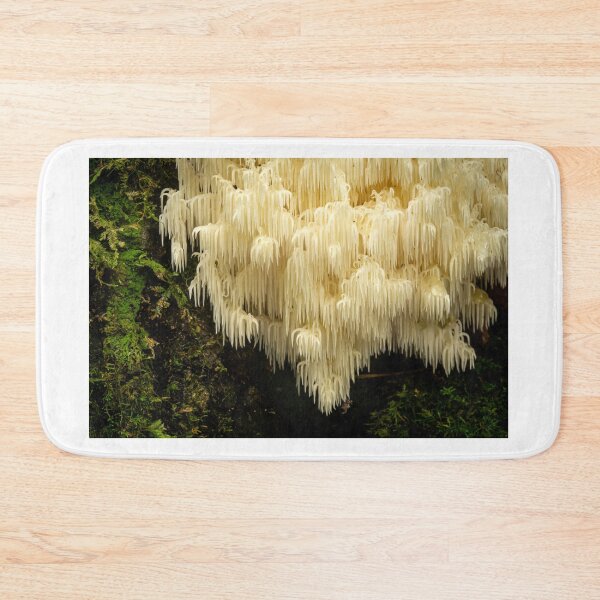 Item preview, Hiricium sp. Spine Coral Fungi designed and sold by Bruce Reardon.