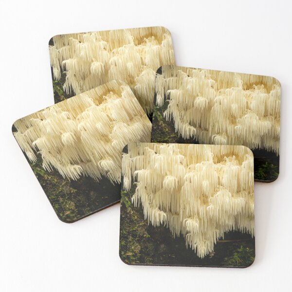 Item preview, Hiricium sp. Spine Coral Fungi designed and sold by Bruce Reardon.