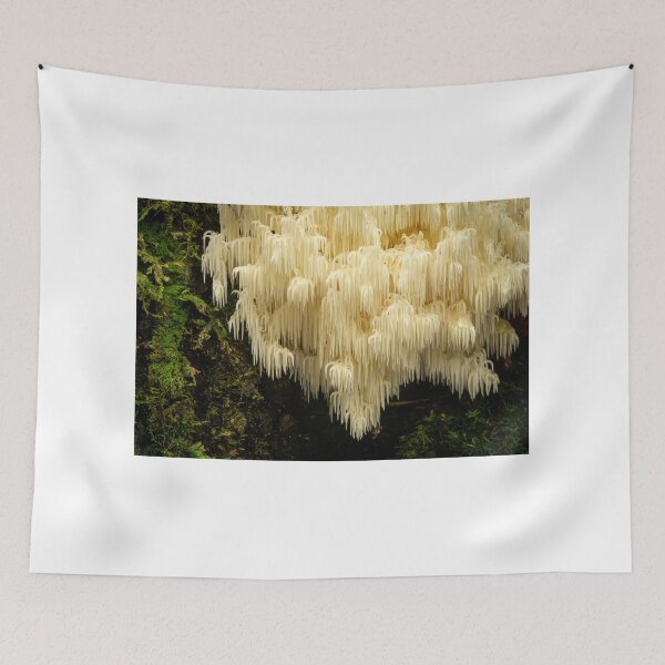 Item preview, Hiricium sp. Spine Coral Fungi designed and sold by Bruce Reardon.