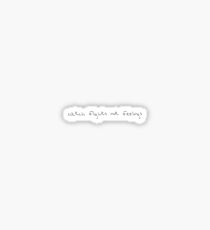 Catch Flights not Feelings Sticker