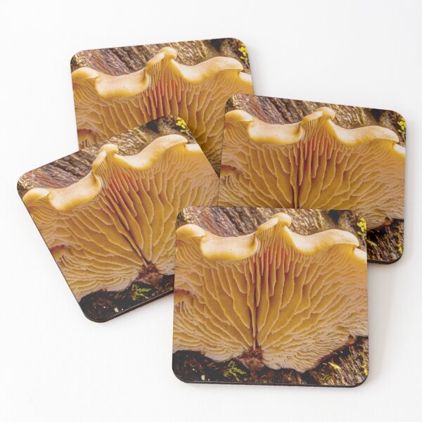 Item preview, Gill Pattern designed and sold by Bruce Reardon.