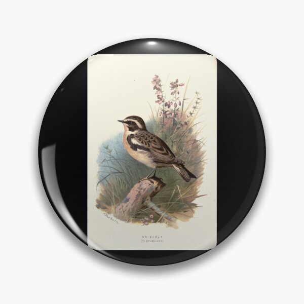 Item preview, Familiar wild birds Swaysland 1883 V4 261 Whinchat   designed and sold by DavidWalker01.