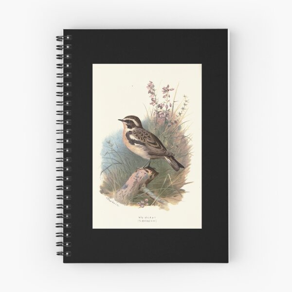 Item preview, Familiar wild birds Swaysland 1883 V4 261 Whinchat   designed and sold by DavidWalker01.