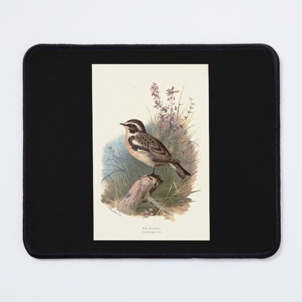 Item preview, Familiar wild birds Swaysland 1883 V4 261 Whinchat designed and sold by DavidWalker01.