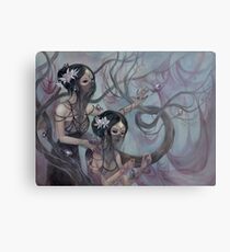 collecting silk from crystal spiders Metal Print