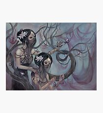collecting silk from crystal spiders Photographic Print