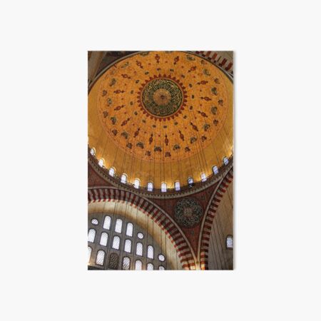 Suleymaniye Art Board Print