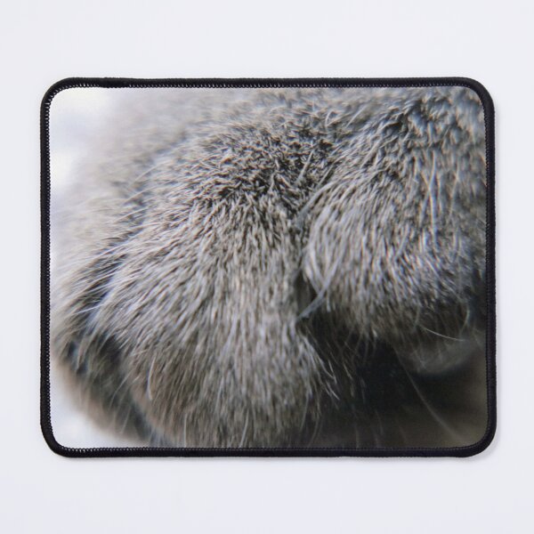 Item preview, Paws for a Cat designed and sold by shellcreek.