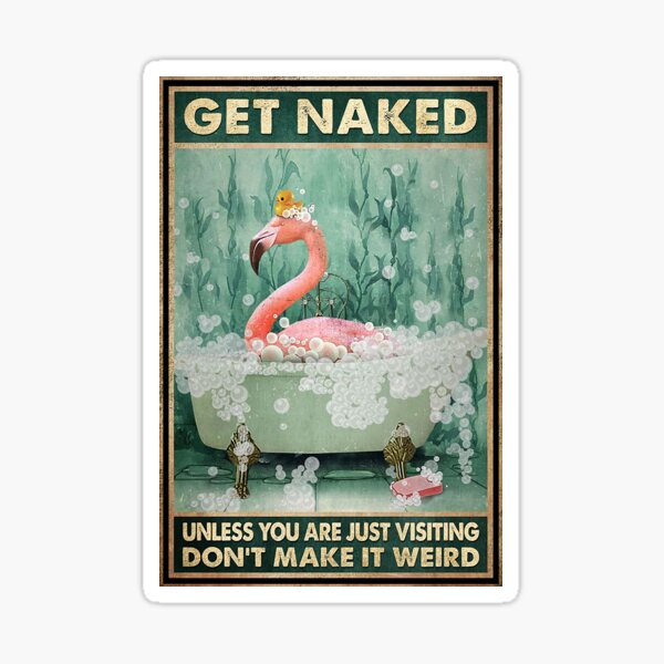 Get Naked Unless You Are Just Visiting Don T Make It Weird Flamingo Lover Sticker For Sale By