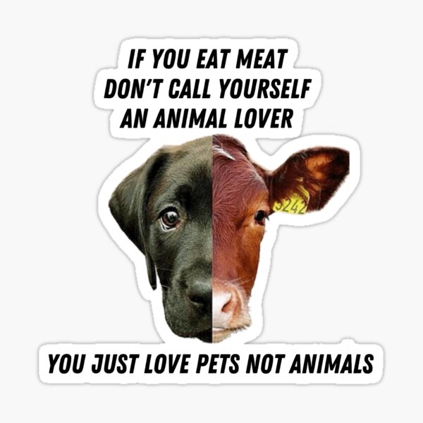 No Animal Abuse Stickers for Sale | Redbubble No Animal Abuse Stickers for Sale | Redbubble
