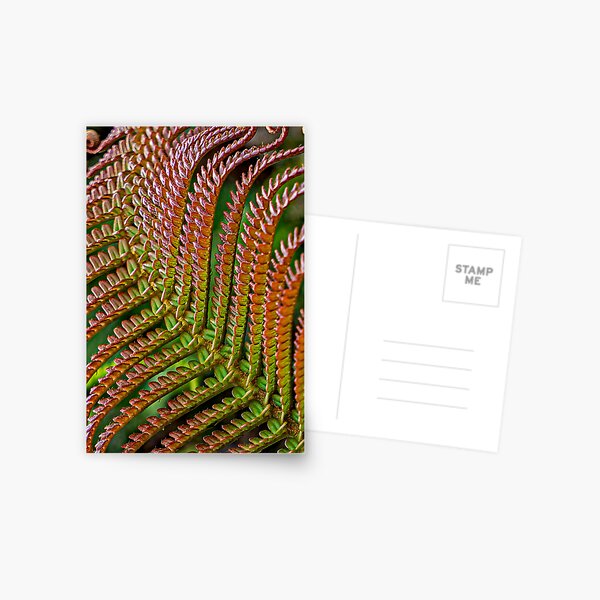 Item preview, 'Ama'u Frond designed and sold by Keola Makaiau.