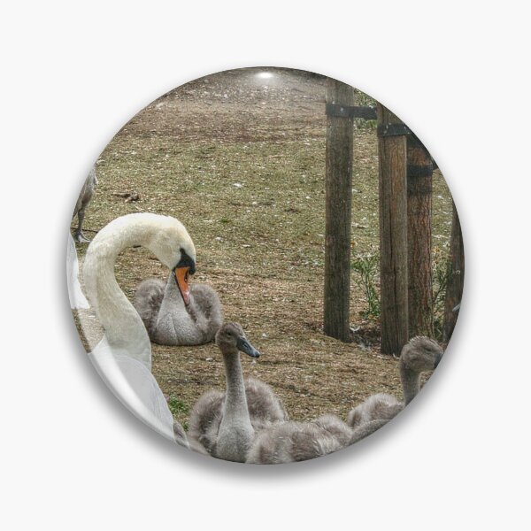 Item preview, Swans and Their Swanlings designed and sold by SarahEL17.