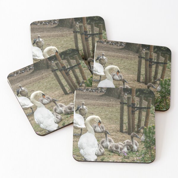 Item preview, Swans and Their Swanlings designed and sold by SarahEL17.