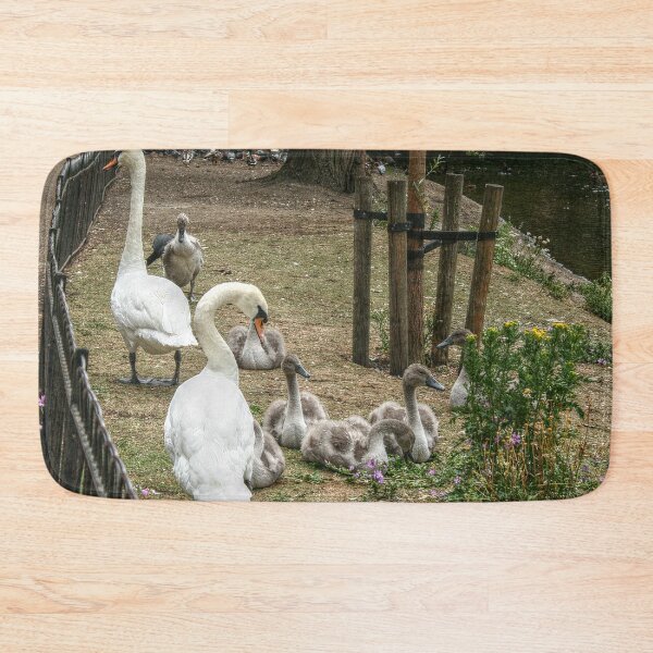 Item preview, Swans and Their Swanlings designed and sold by SarahEL17.