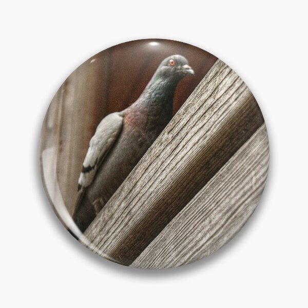 Item preview, Paranoid Pigeon designed and sold by SarahEL17.