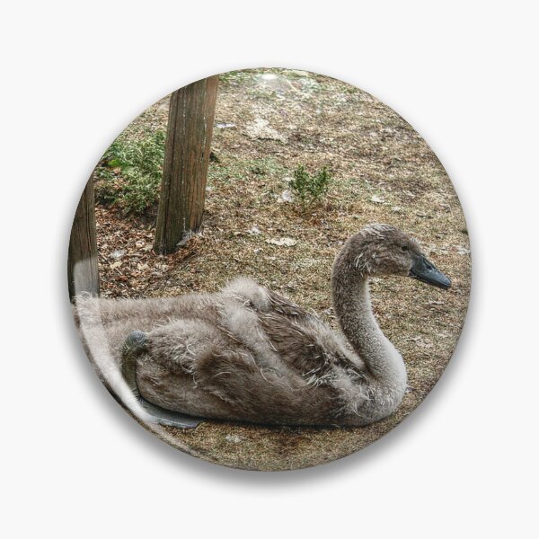 Item preview, Swanlings designed and sold by SarahEL17.