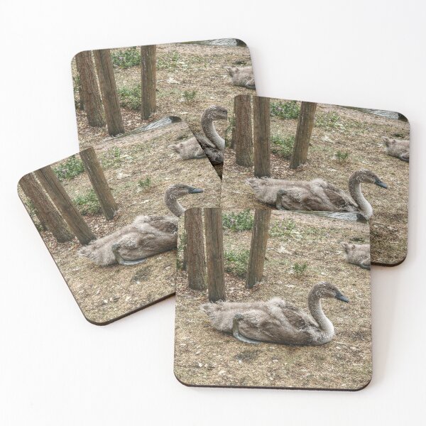 Item preview, Swanlings designed and sold by SarahEL17.