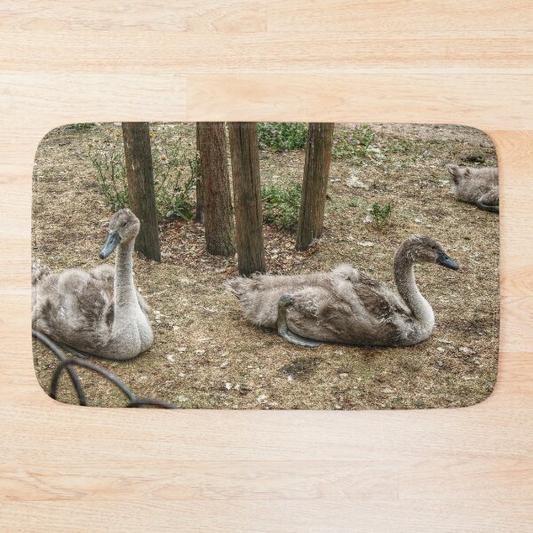 Item preview, Swanlings designed and sold by SarahEL17.