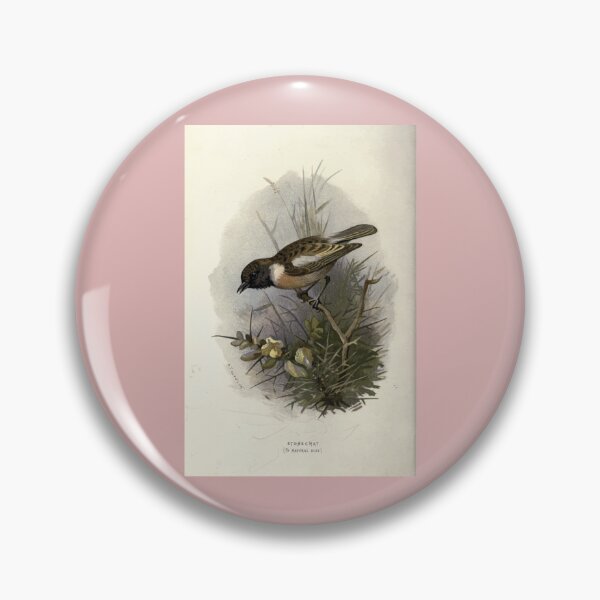 Item preview, Familiar wild birds Swaysland 1883 V3 301 Stonechat   designed and sold by AngelaValenti1.