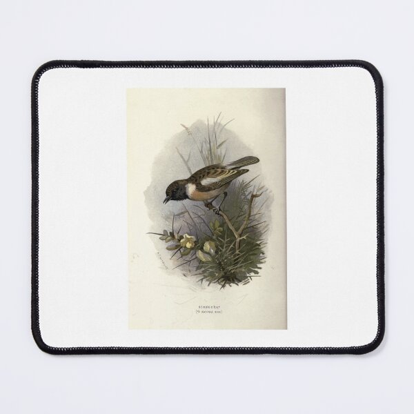 Item preview, Familiar wild birds Swaysland 1883 V3 301 Stonechat   designed and sold by AngelaValenti1.
