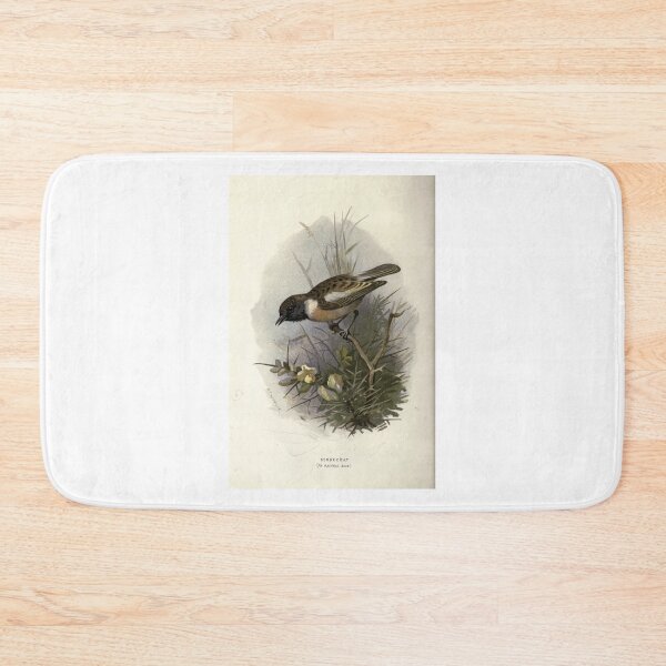 Item preview, Familiar wild birds Swaysland 1883 V3 301 Stonechat   designed and sold by AngelaValenti1.