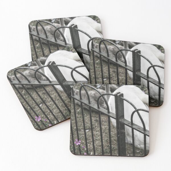 Item preview, Flowers on the Fence designed and sold by SarahEL17.