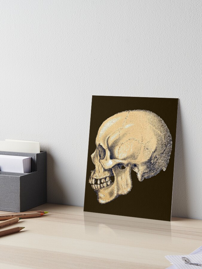 Human skeleton, hand and wrist bones, close up available as Framed Prints,  Photos, Wall Art and Photo Gifts