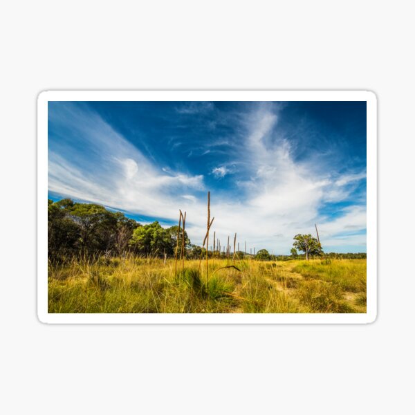 Item preview, Aussie Summer Landscape designed and sold by Jensphotos.