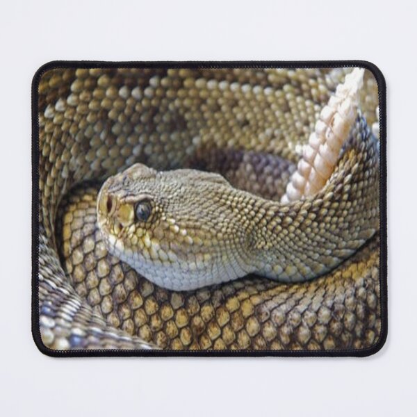Item preview, Ready For Anything designed and sold by WinkyDoodle.
