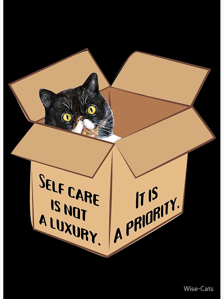 "Cat in a Box Collection. Self Care is a Priority, not a luxury