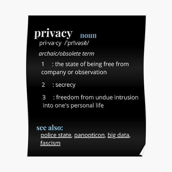 "Privacy (noun) Archaic/Obsolete definition" Poster for Sale by