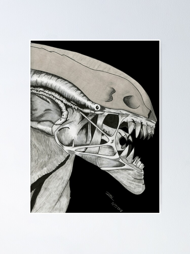 "The Xenomorph" Poster for Sale by ZAL177 Redbubble