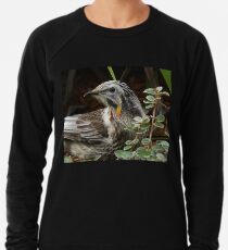 Yellow Wattle Bird Lightweight Sweatshirt