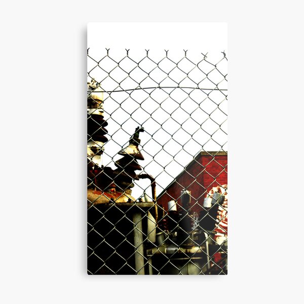 Fence Metal Print