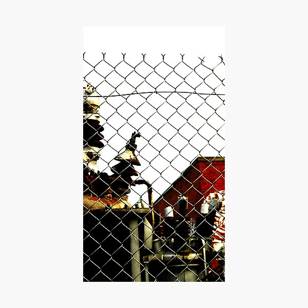 Fence Photographic Print